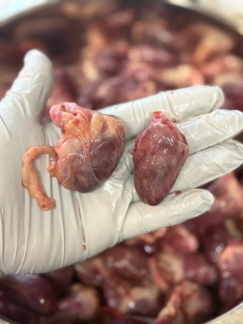 Freeze Dried Duck Heart