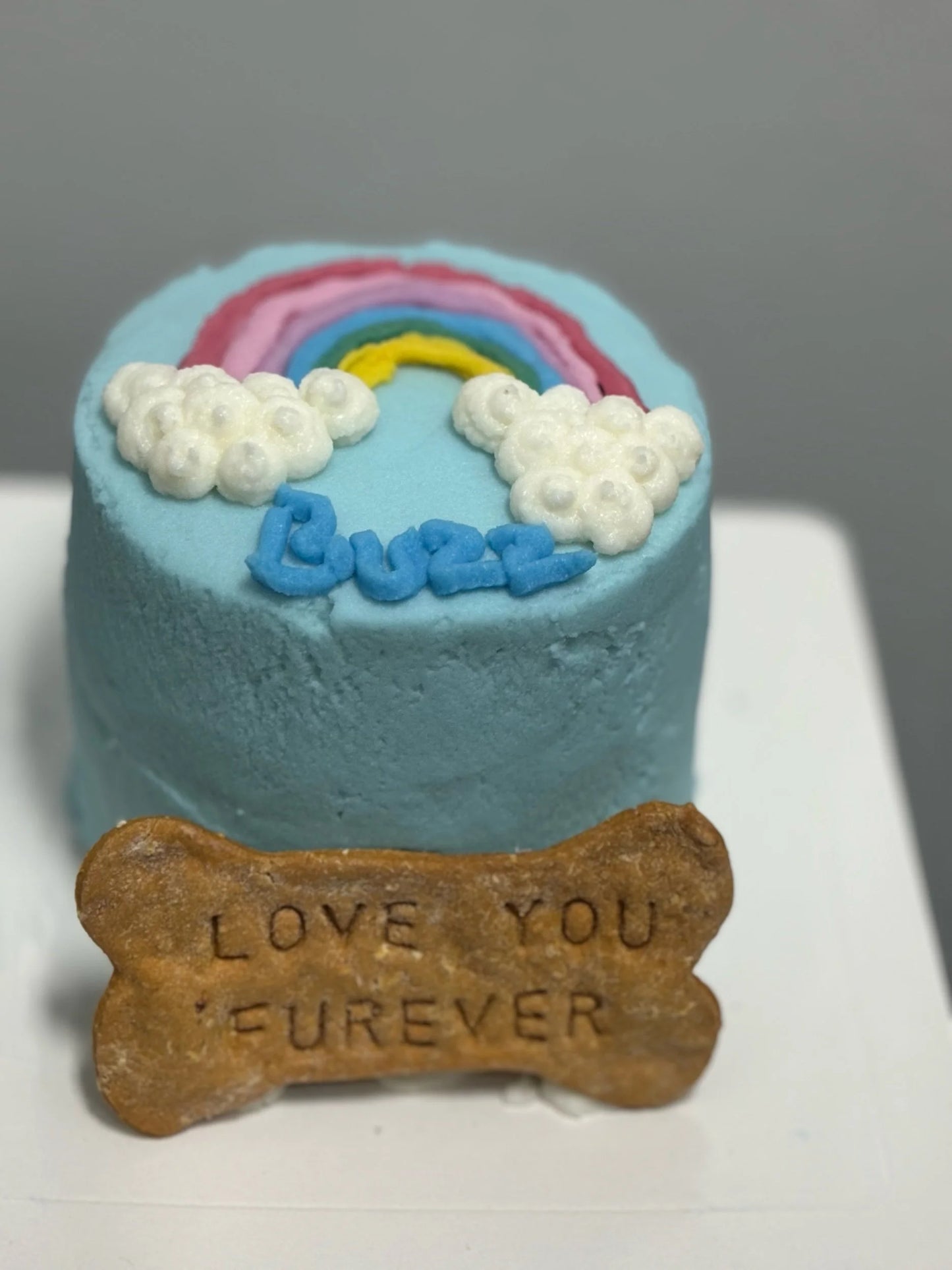 Rainbow Bridge cake