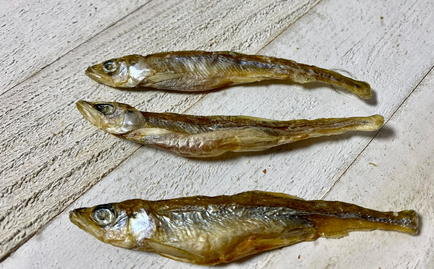 Smelt