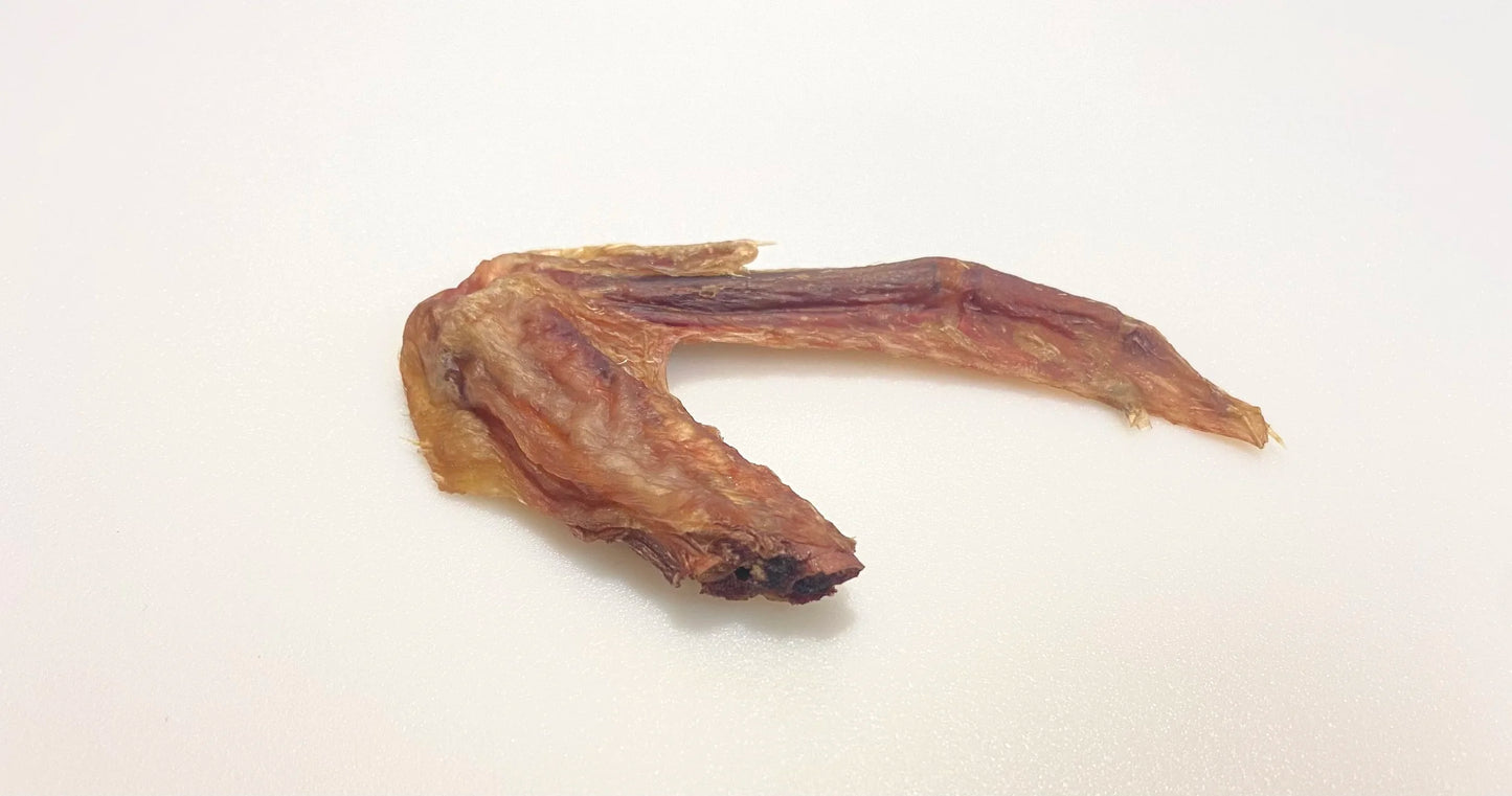 Duck Wing