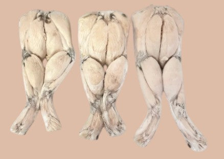 Freeze Dried Frog Leg