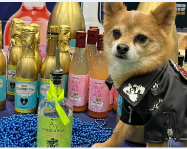Ay Chihuahua Dog Tequila