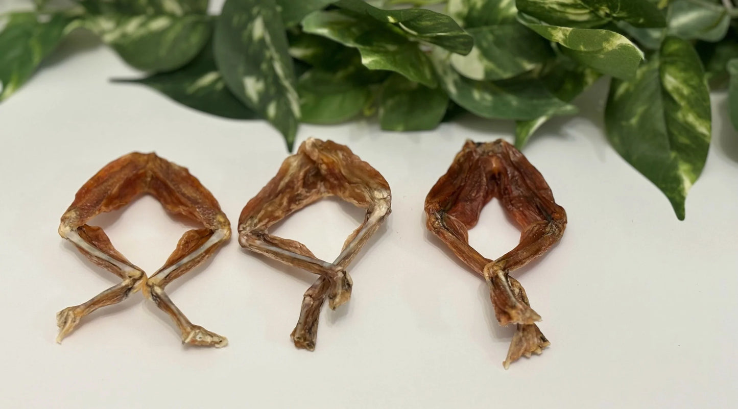 Dehydrated Frog legs
