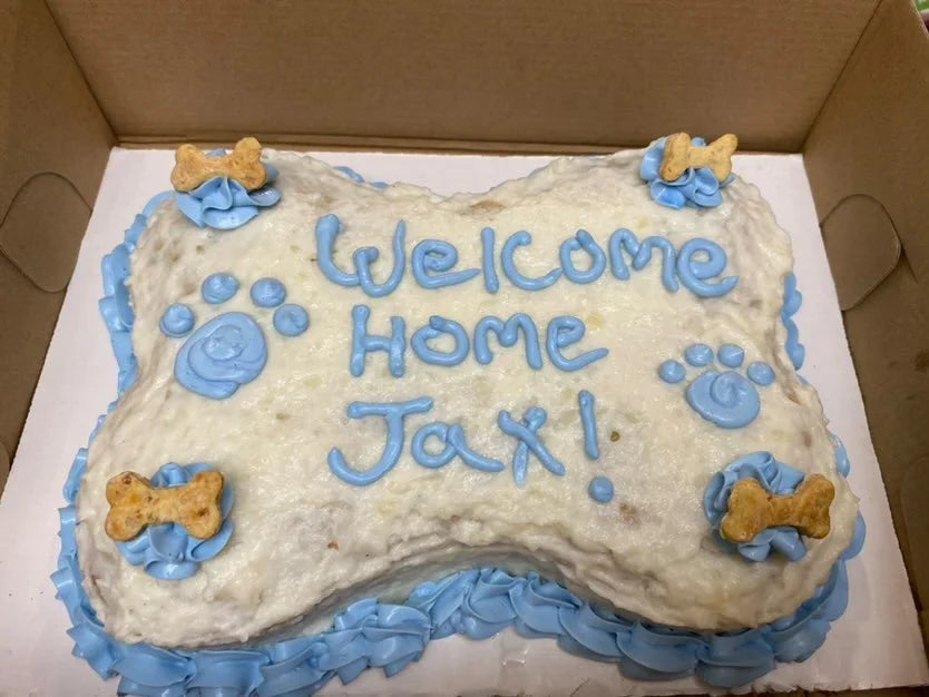 Bone Cake
