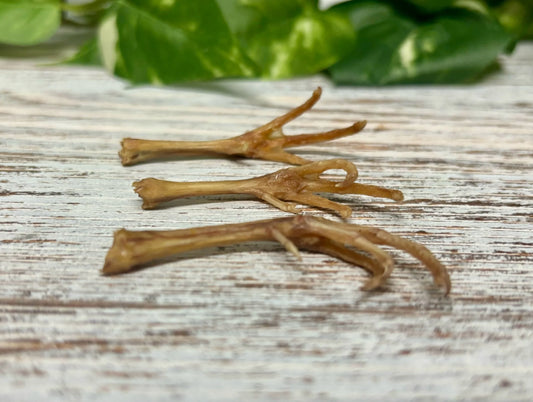 Quail feet