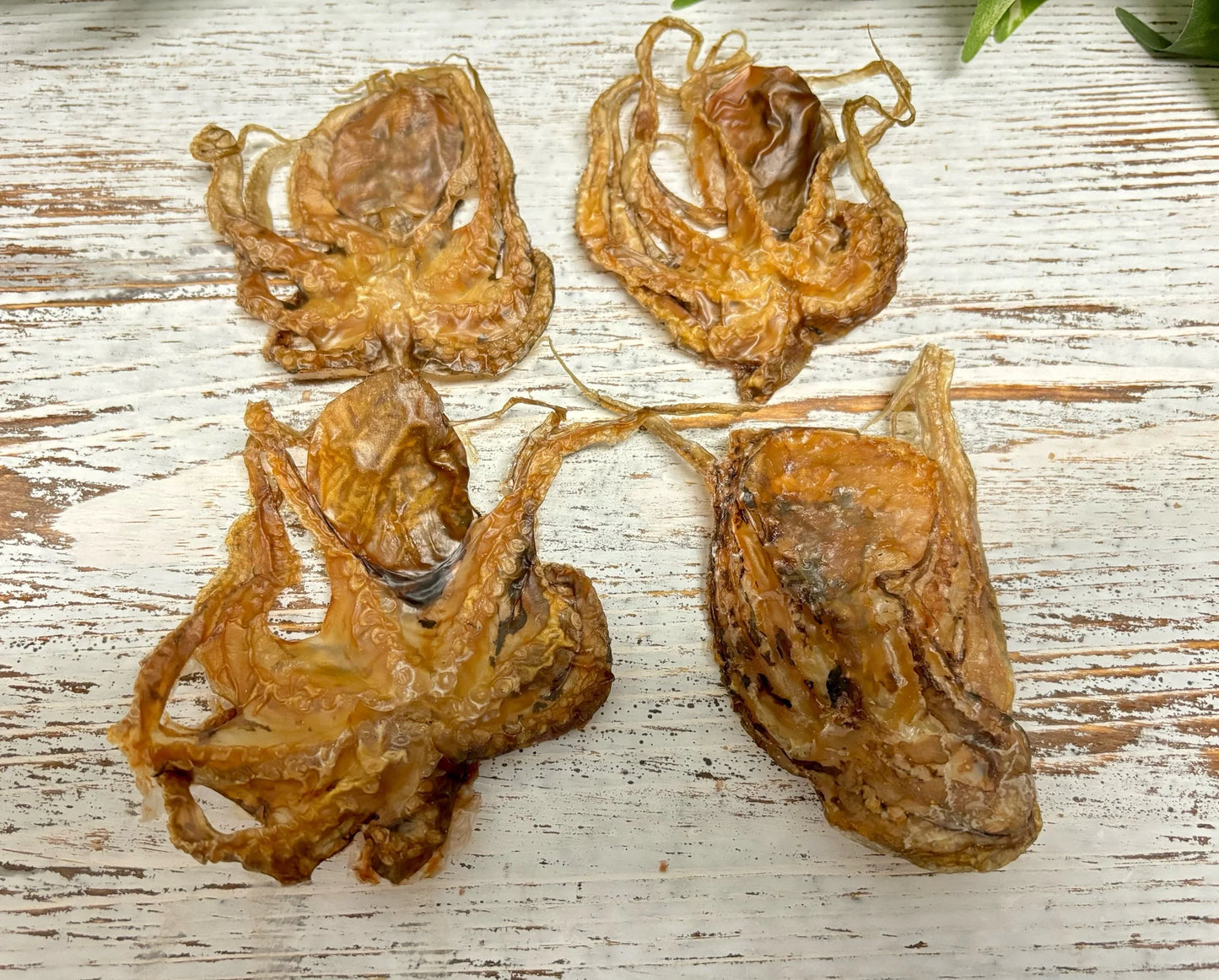Octopus chips