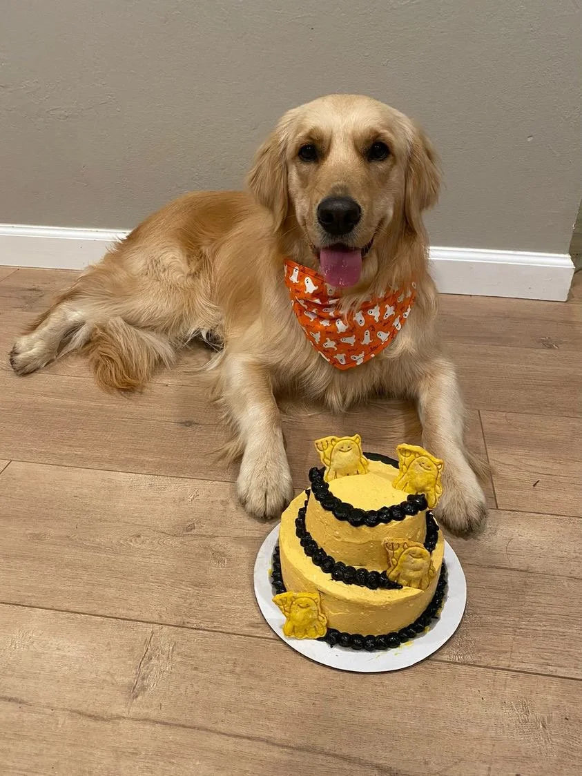 Custom Cake