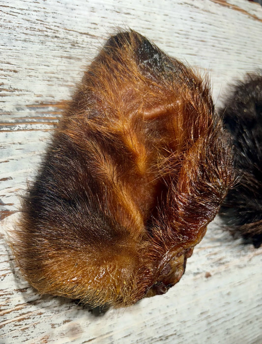 Pork Ear with Hair