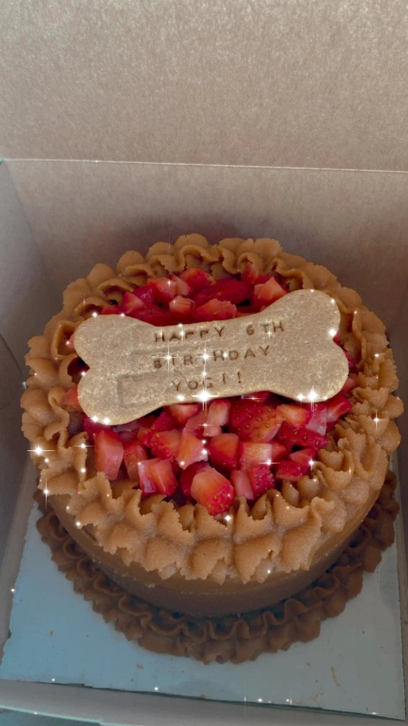 Biscuit Bone Topper
