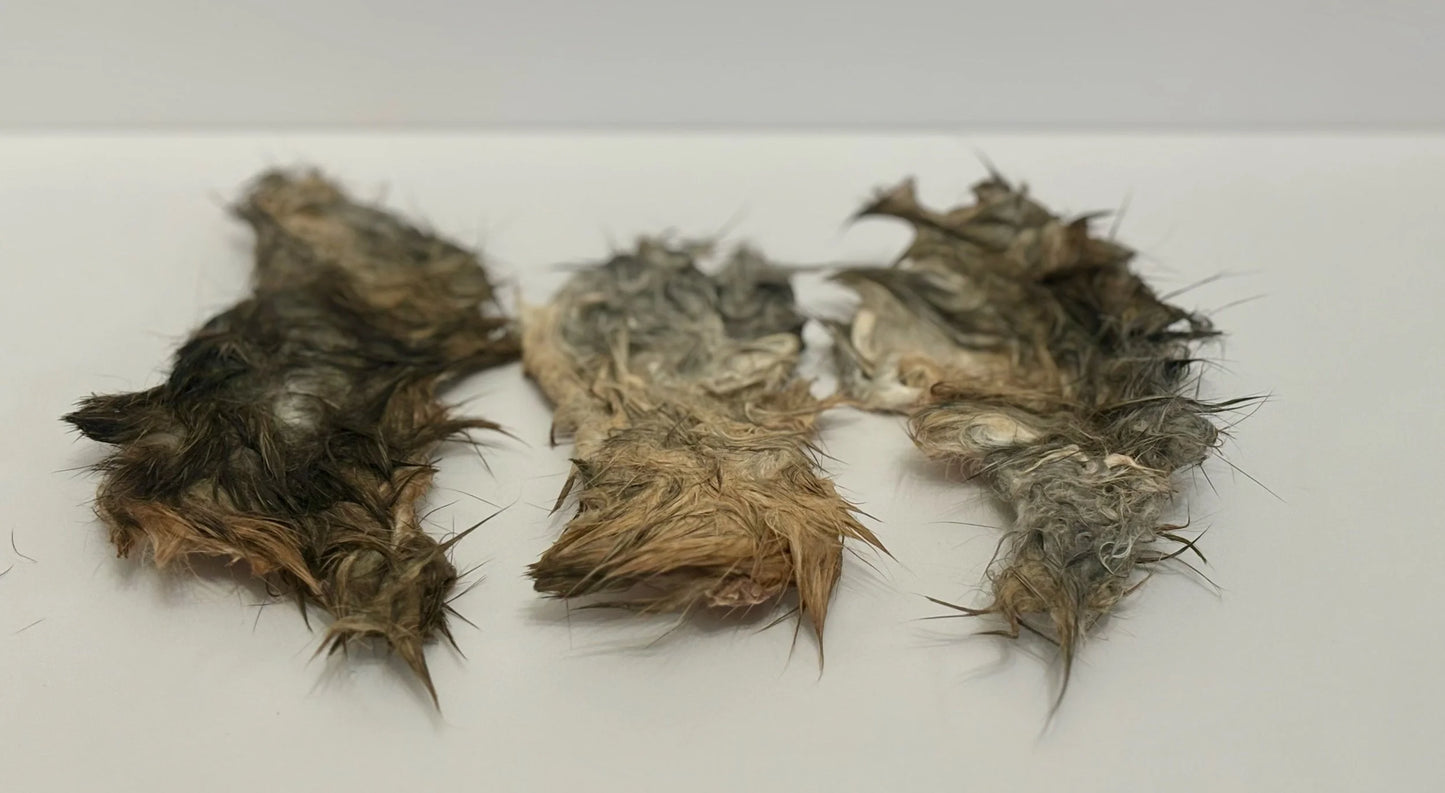 Rabbit Hide Chips