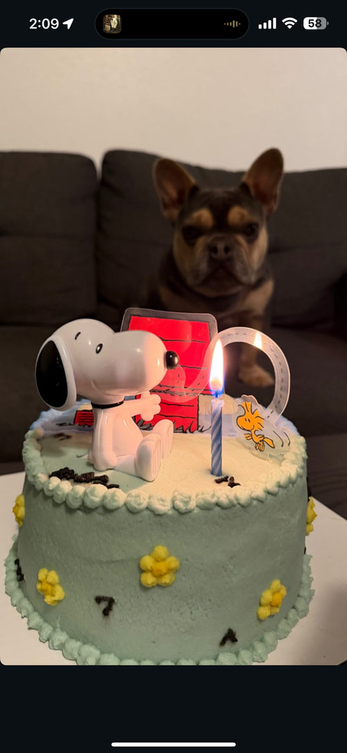 Snoopy cake