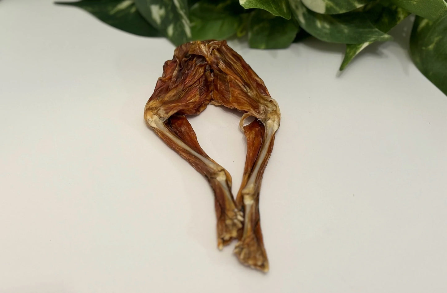 Dehydrated Frog legs