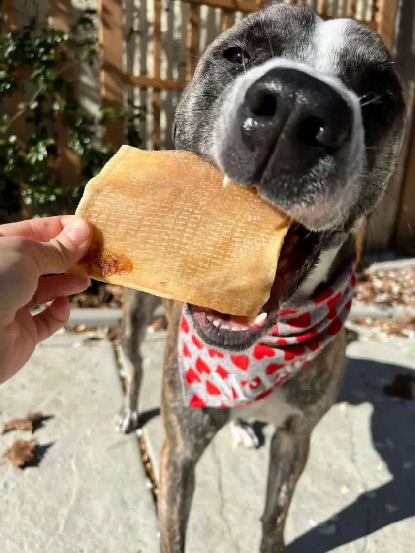 Pork Skin
