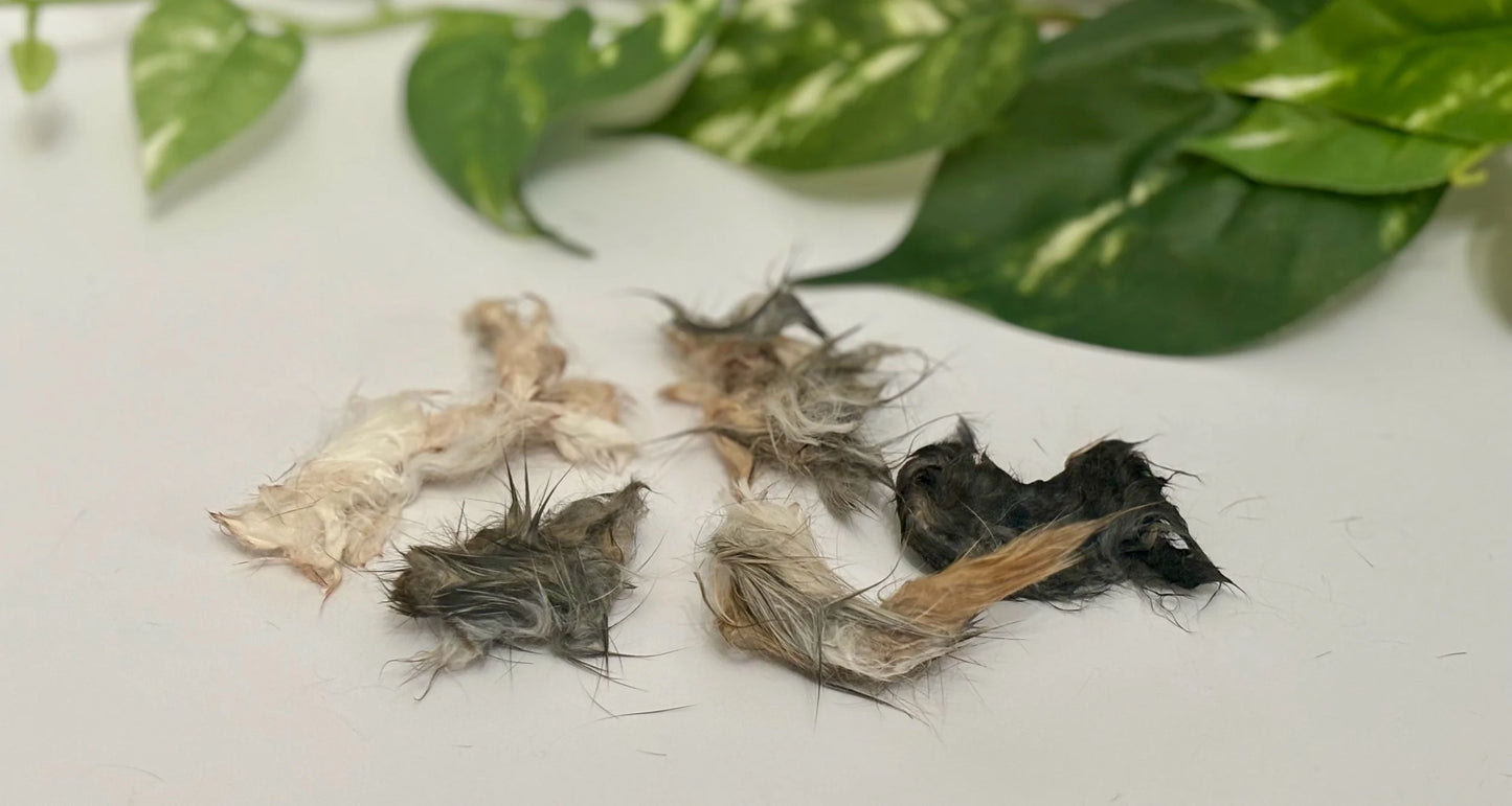 Rabbit Hide Bites