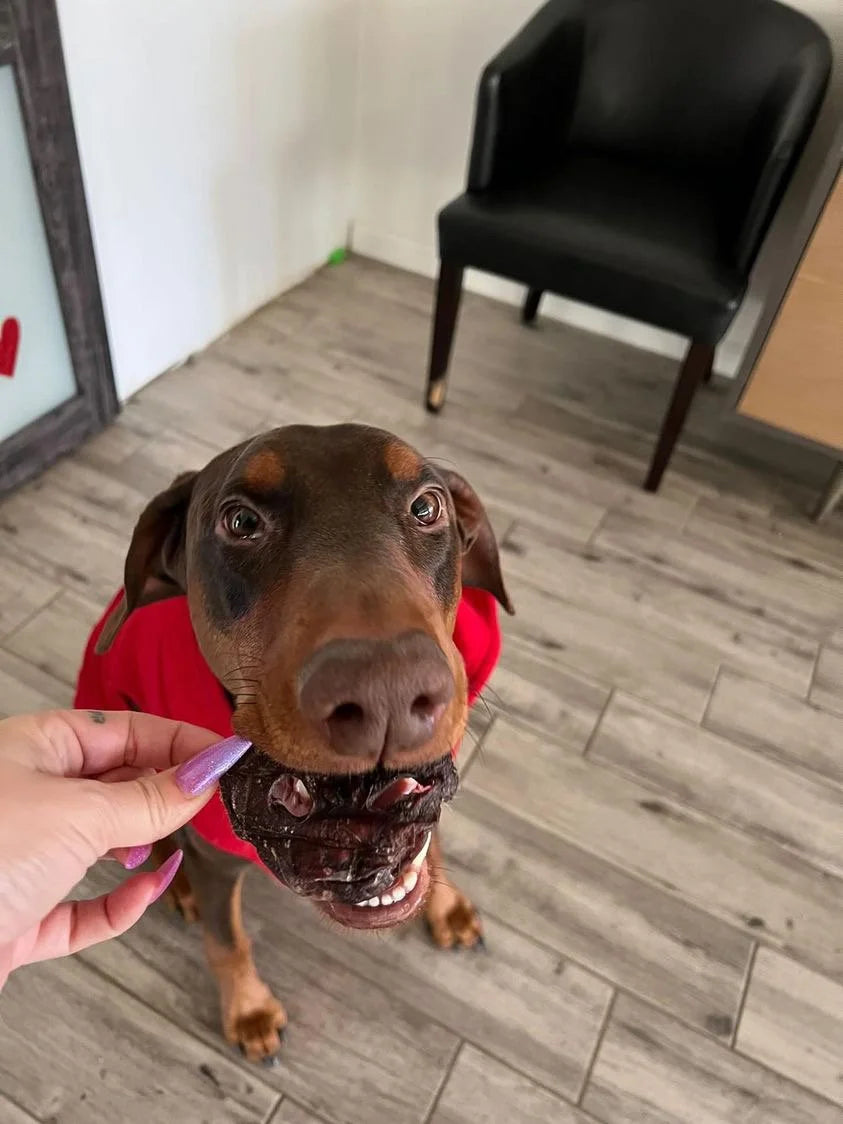 Pork Snout