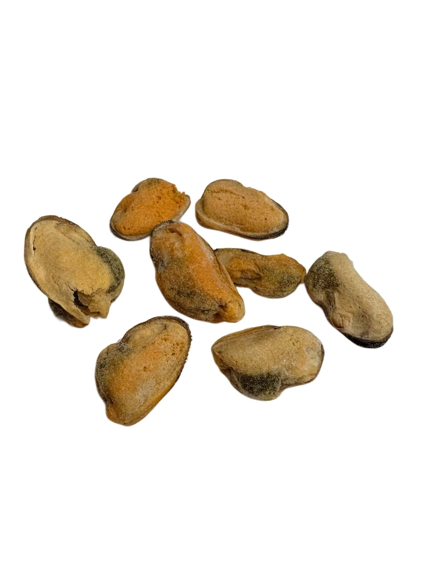 Freeze dried Green lipped mussels
