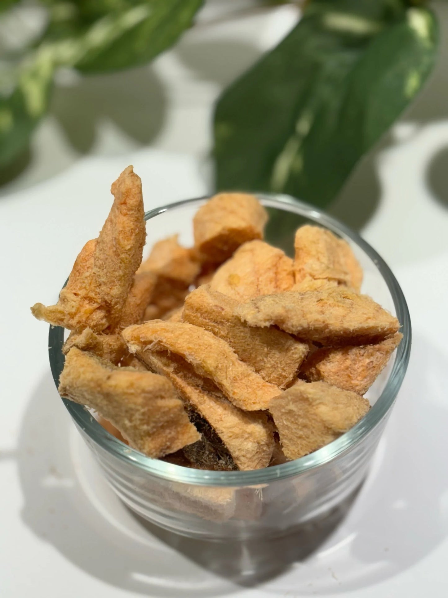 Freeze dried salmon