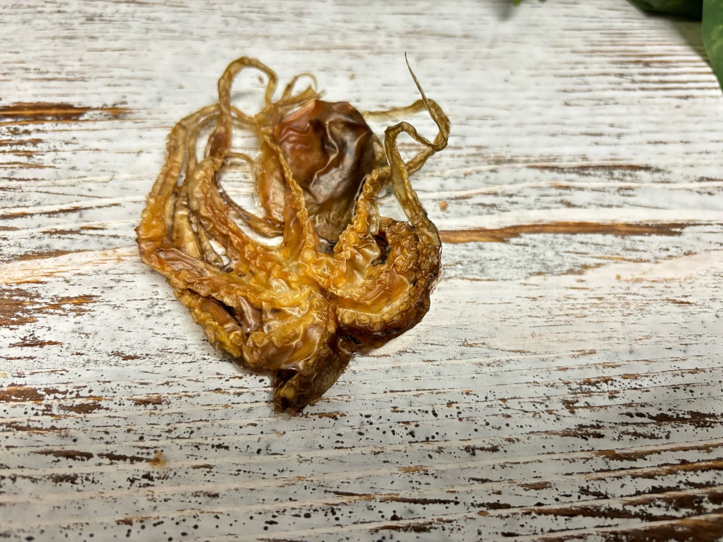 Octopus chips