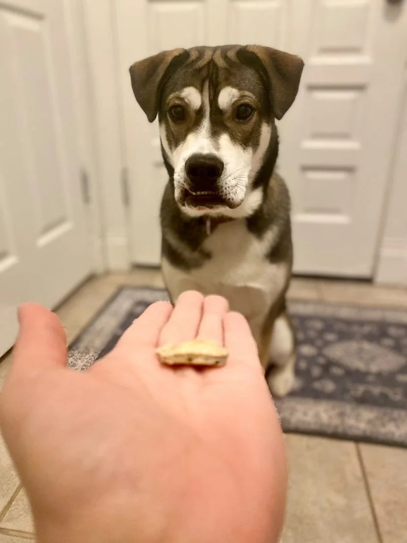 Bacon and Cheese
