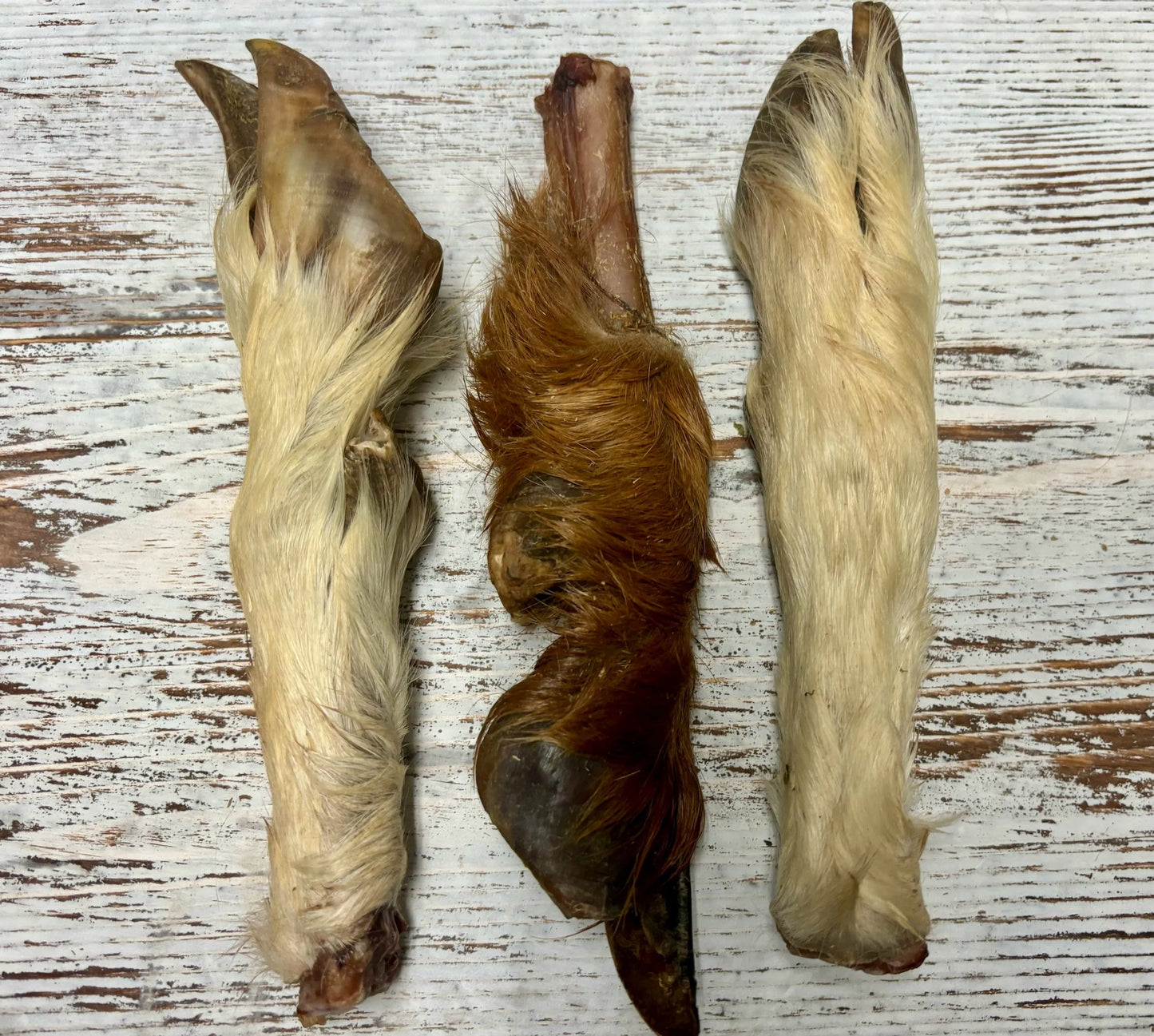 Lamb/goat trotter