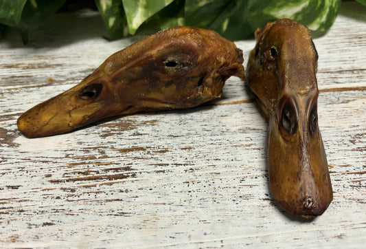 Duck Head