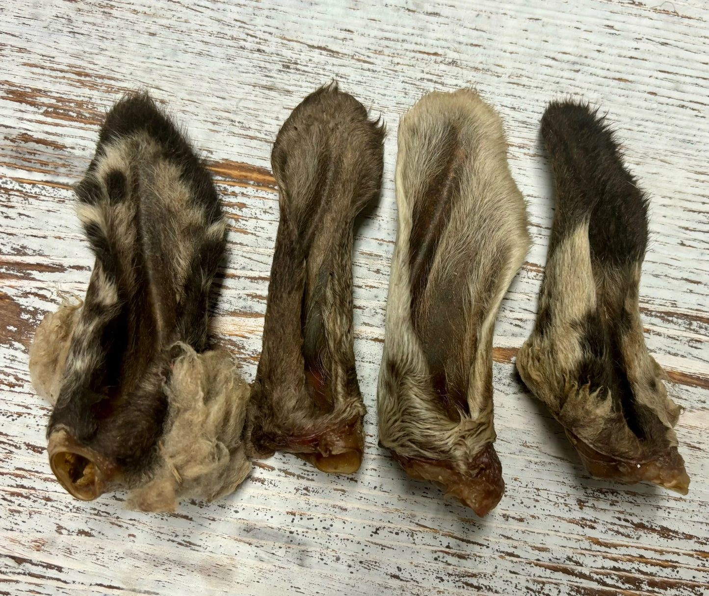 Lamb Ears