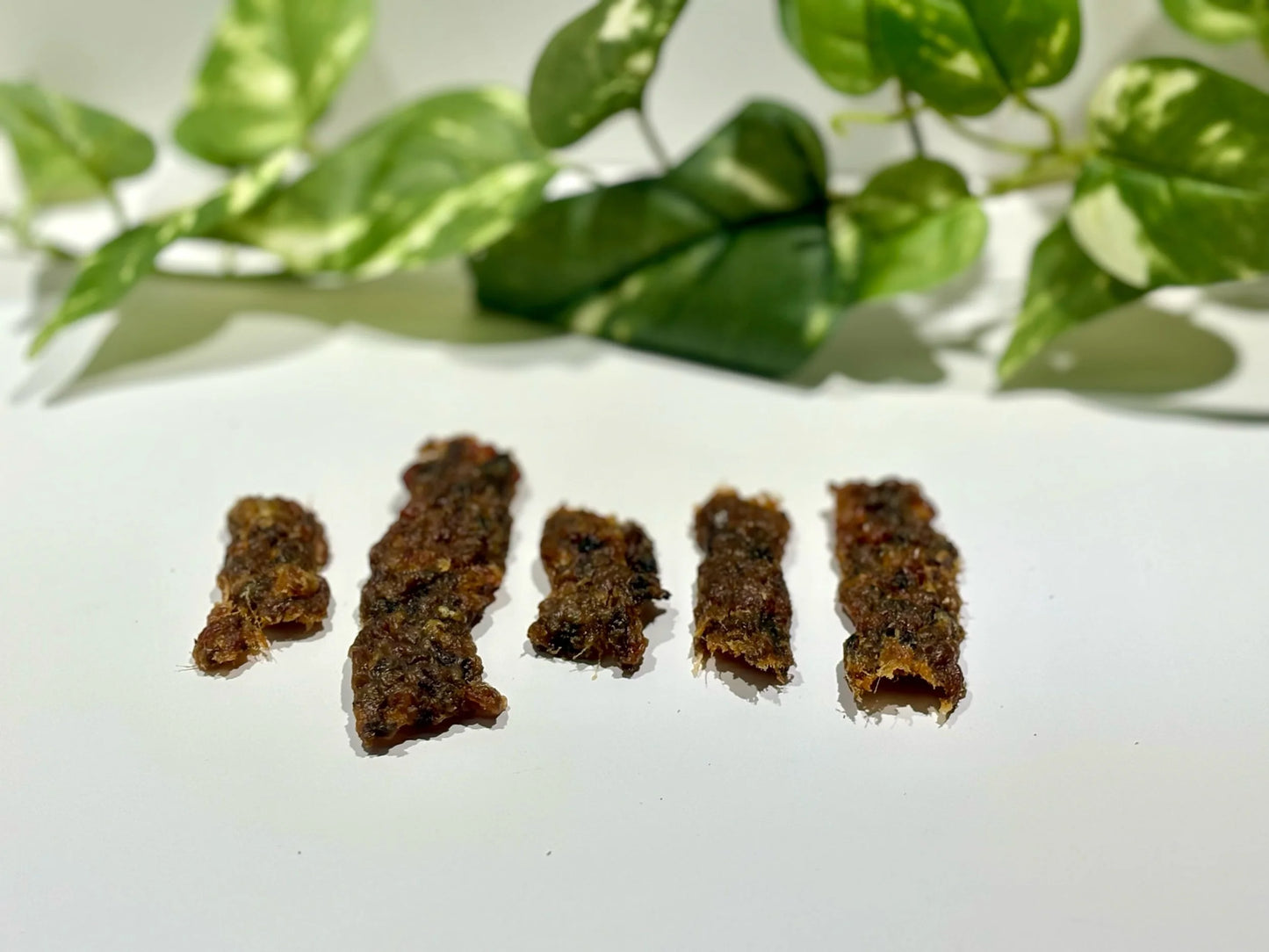 Ostrich sampler pack