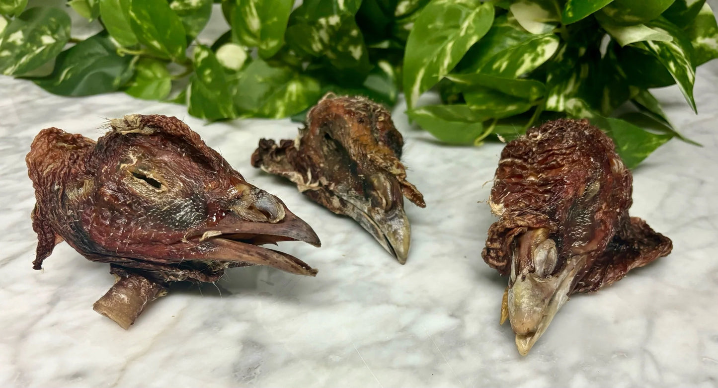 Turkey Head