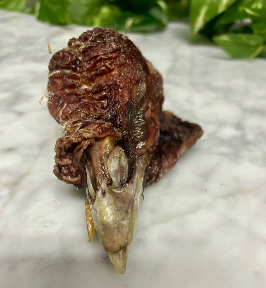 Turkey Head