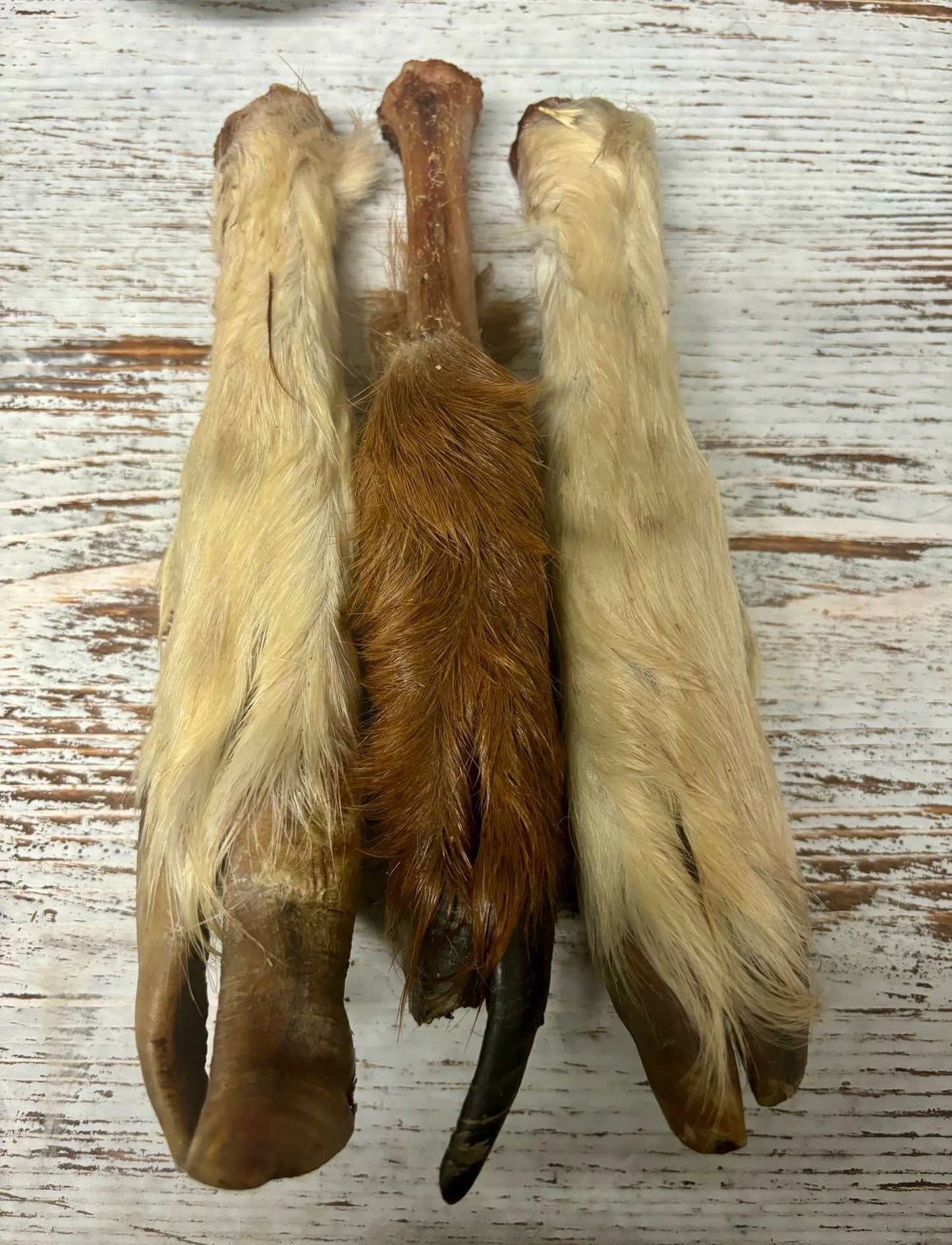 Lamb/goat trotter