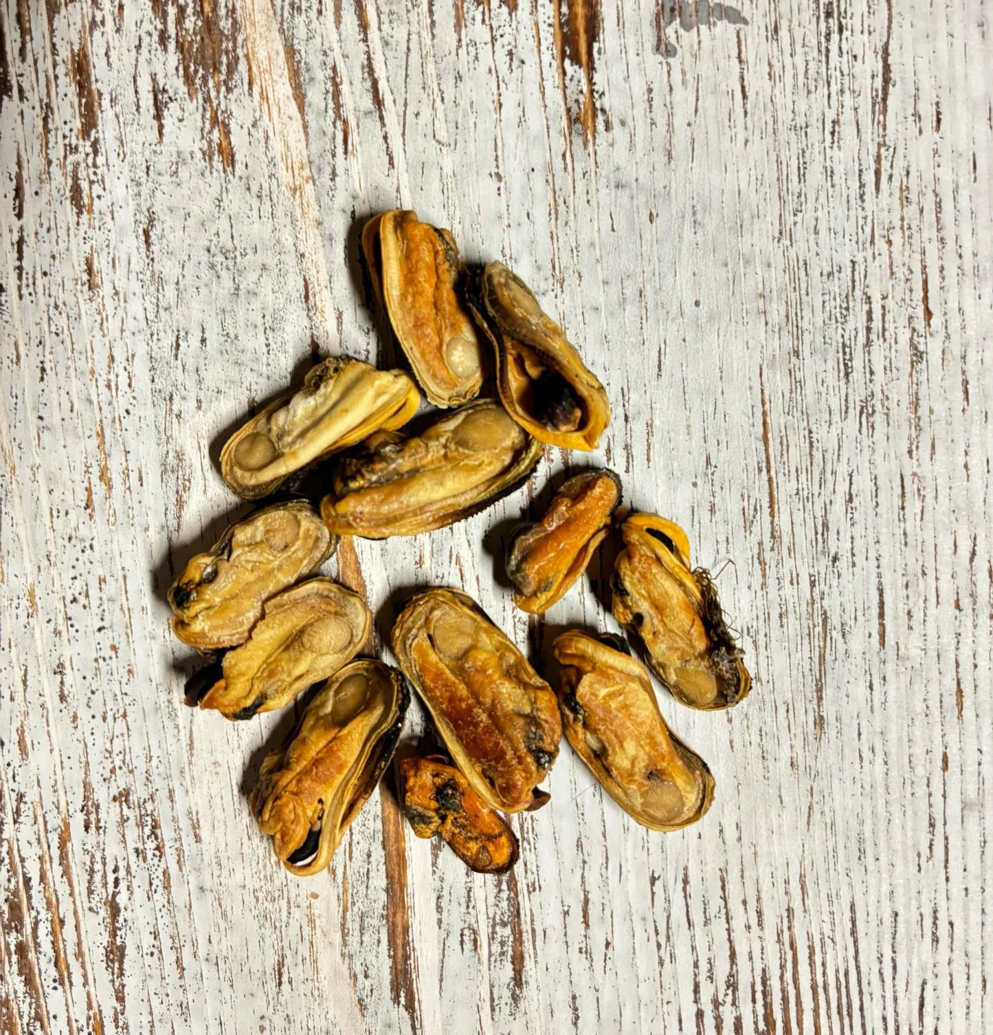 Green Lipped Mussels