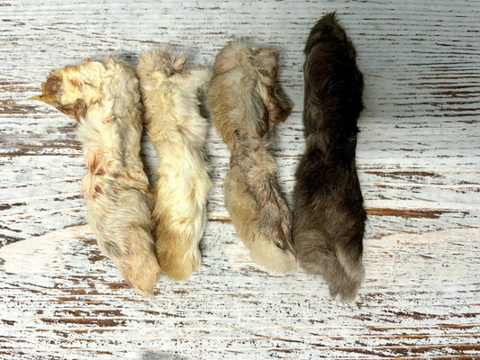 Rabbit Feet