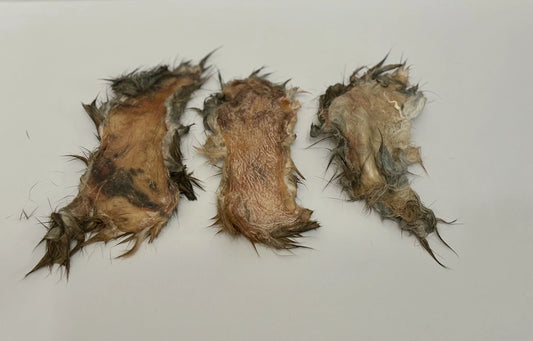 Rabbit Hide Chips