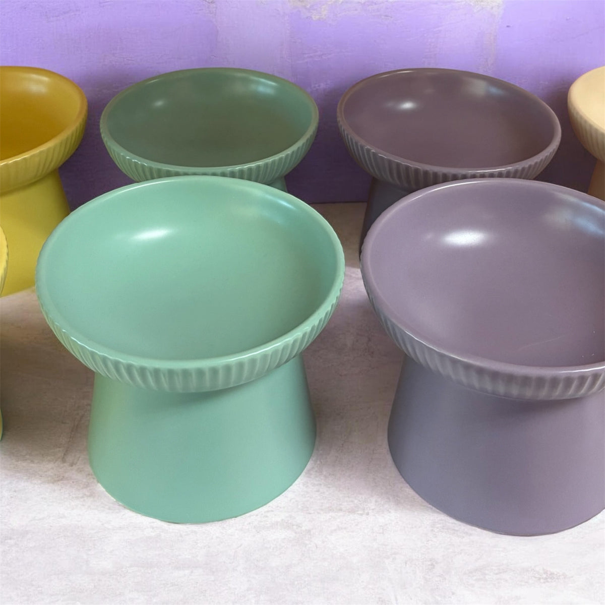 Raised Cat Bowl