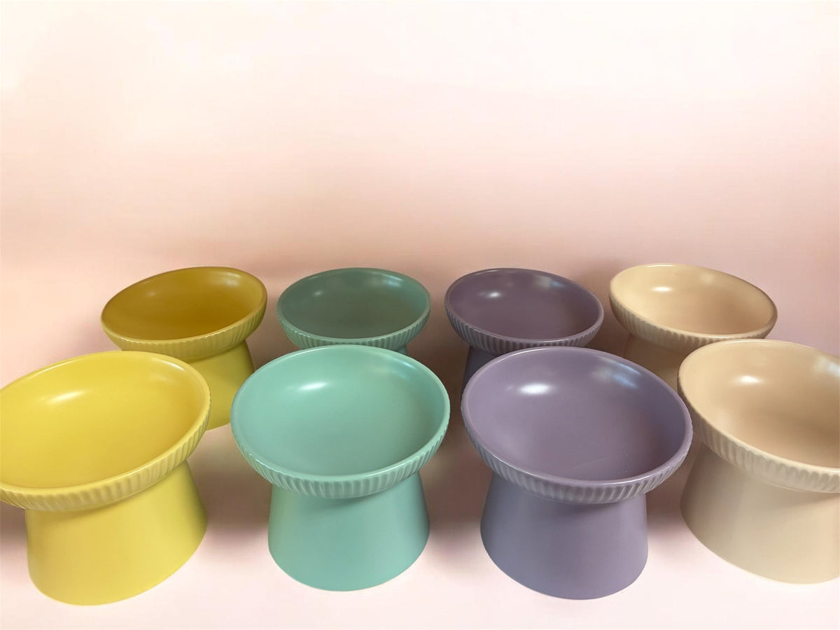 Raised Cat Bowl