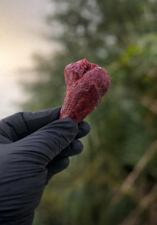 Freeze Dried Duck Heart