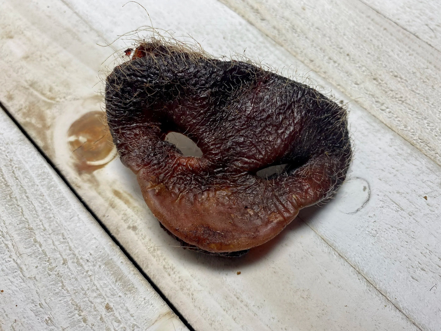 Pork Snout
