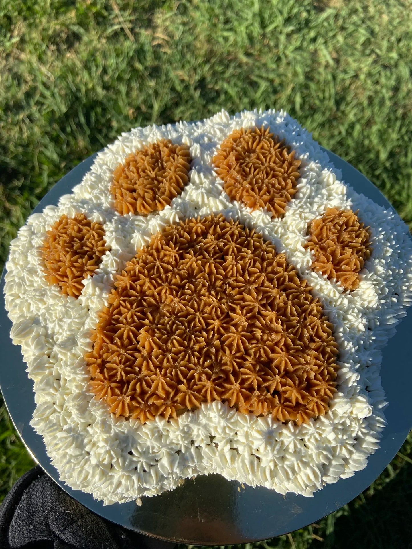 Paw Cake