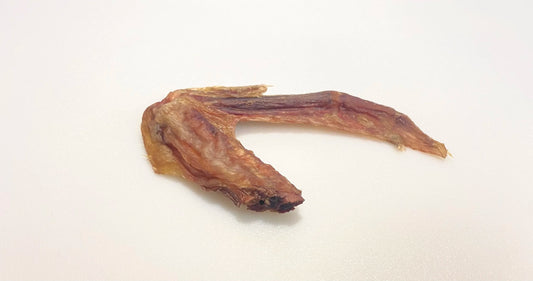 Duck Wing