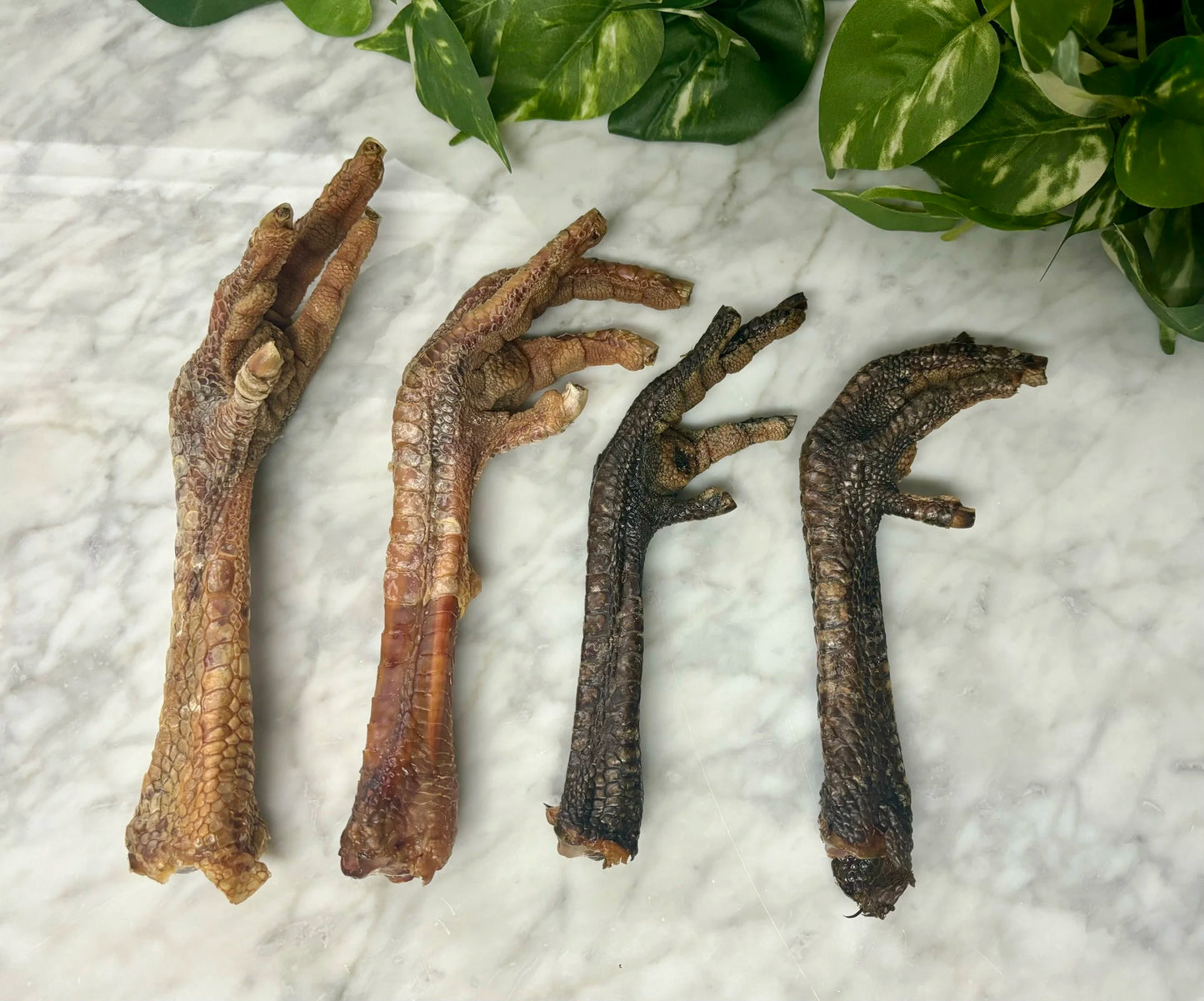 Turkey feet