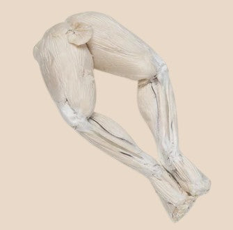 Freeze Dried Frog Leg