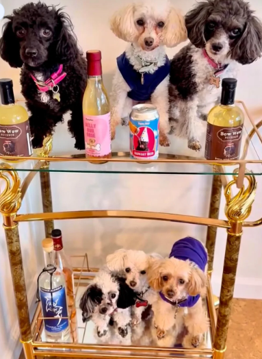 Bow wow Burbon